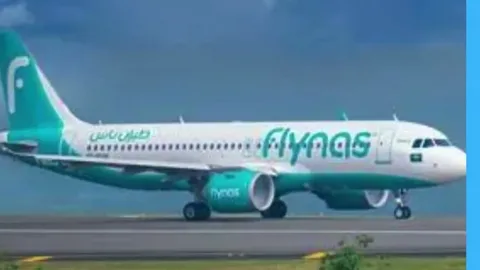 flynas IPO